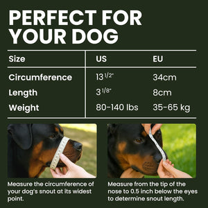 BRONZEDOG Dog Muzzle Adjustable Durable Metal Wire Basket for Large and Extra Large Dogs with Leather Straps Breathable, Drinkable, Training, Prevents Biting (Stainless Steel, Rottweiler)