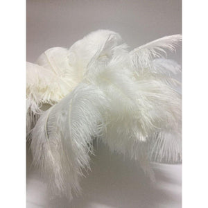 CENFRY 10pcs Ostrich Feathers 10-12inch Plumes for Wedding Centerpieces Home Decoration (White)