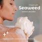 Buy now MainBasics Seaweed Infused Bath Shower Loofah Sponge Pouf Body Wash Scrubber (Set of 3) at indiglob india