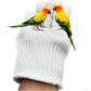 alfyng Bird Training Anti-Bite Parrot Chewing Protective Gloves, Small Animal Handling Gloves for Parrotlets Cockatiels Finch Macaw (1 Pair White)
