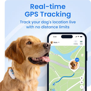 Tractive Smart Dog GPS Tracker | Live Pet Tracker with Virtual Fence | Vital Signs Monitoring of Heart & Respiratory Rate | Dog Collar Attachment (White)