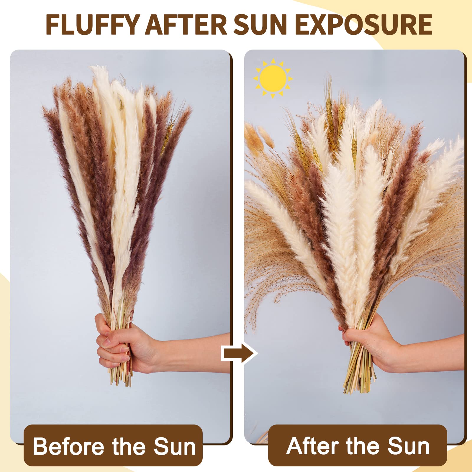 Buy now Seniny Pampas Grass, 80 Pcs Dried Pampas Grass Decor Tall 17", Natural Brown & White Pompous Grass | Bunny Tails Dried Flowers | Wheat Stalks | Reed for Boho Home Wedding Decor, Flower Arrangement at indiglob india
