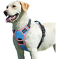 Eagloo Dog Harness for Large Dogs, No Pull Service Vest with Reflective Strips and Control Handle, Adjustable and Comfortable for Walking, No Choke Pet Harness with 2 Metal Rings, Orange, L