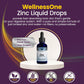 WellnessOne Ionic Liquid Zinc Drops for Immunity Support - Highly Absorbable Zinc Liquid Supplements for Kids & Adults - USA Tested, Vegan, Non-GMO, Gluten-Free, 1.67 fl oz