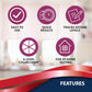 Buy now TRUEplus® Ketone Test Strips – Ideal for Low-carb dieters– Made in USA–Urinalysis Test Sticks (100) at indiglob india