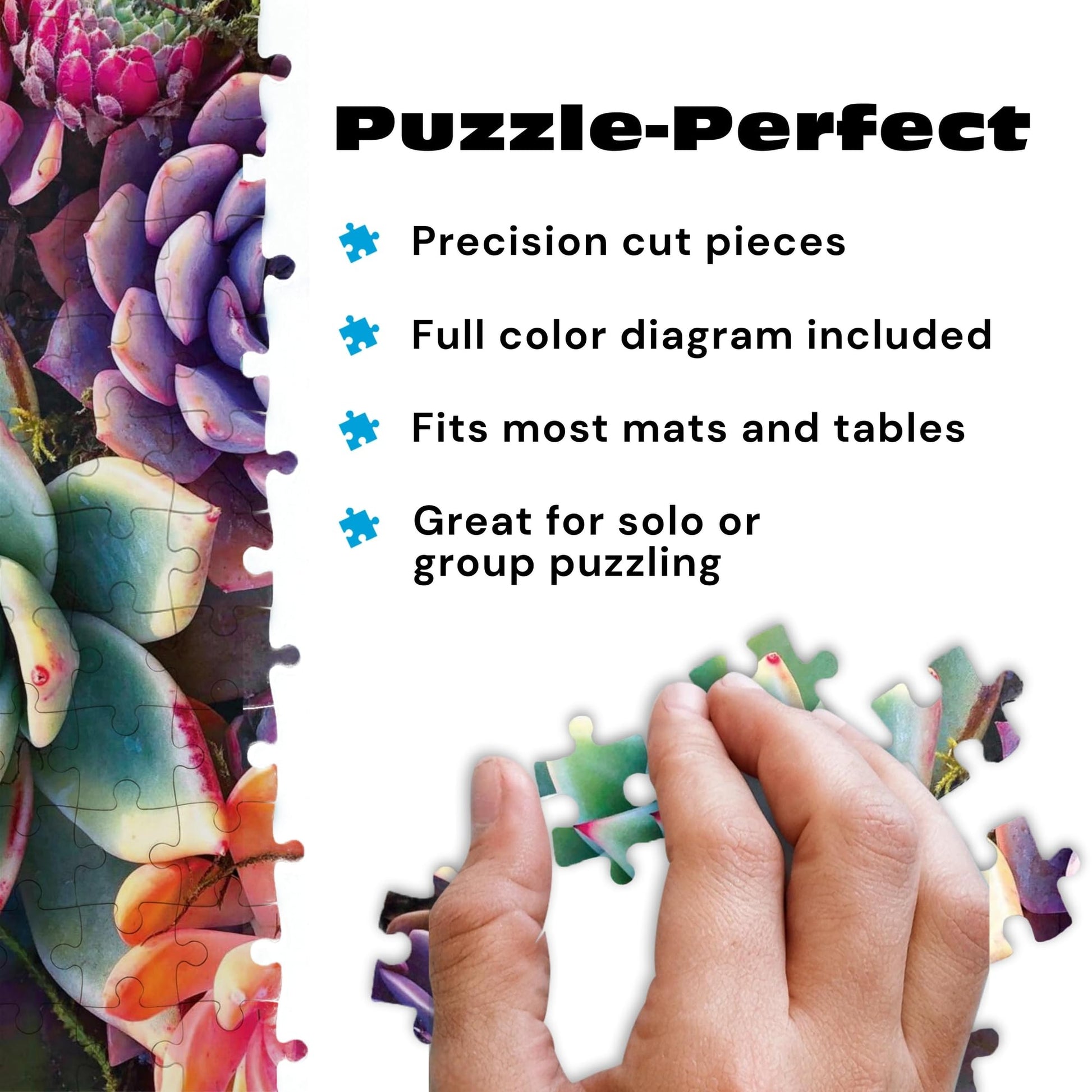 Buy now Buffalo Games - Simple Succulent - James Mertke - 1000 Piece Jigsaw Puzzle for Adults - Challenging Puzzle for Game Nights - Vibrant Plant Artwork - Finished Size 26.75 x 19.75 - Made in the USA at indiglob india