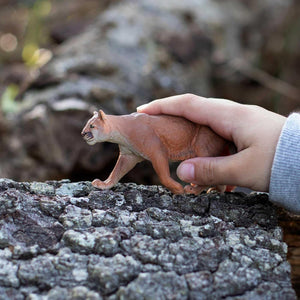 Safari Ltd. Mountain Lion Figurine - Realistic 5.5" Hand-Painted Wildlife Figure - Educational Toy for Boys, Girls & Kids Ages 3+