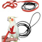 CIEOVO Bird Harness, Adjustable Parrot Nylon Leash with Anti-bite Design for Outdoor Activities Training, Suitable for Eastern Bluebonnet Parrot, Cockatoo, Parakeet, Doves 6.2ft (S)