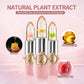 Buy now BestLand 6 Pcs/Set Flower Jelly Lipstick Set Temperature Change Moisturizer Long Lasting Nutritious Balm Magic Color Change Lip Gloss at indiglob india