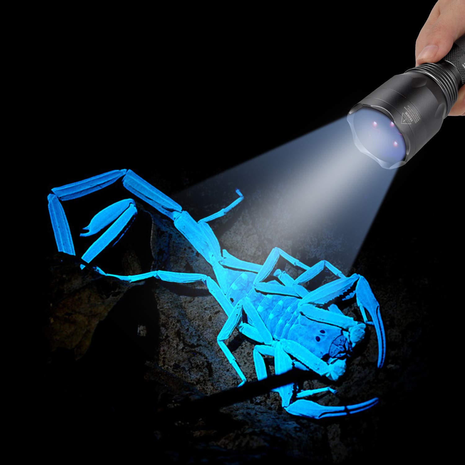 Buy now S3 365nm UV Flashlight with 3 LEDs, Powerful Blacklight Flashlights for Pet Urine Detection, Resin Curing, Rocks, Scorpion at indiglob india