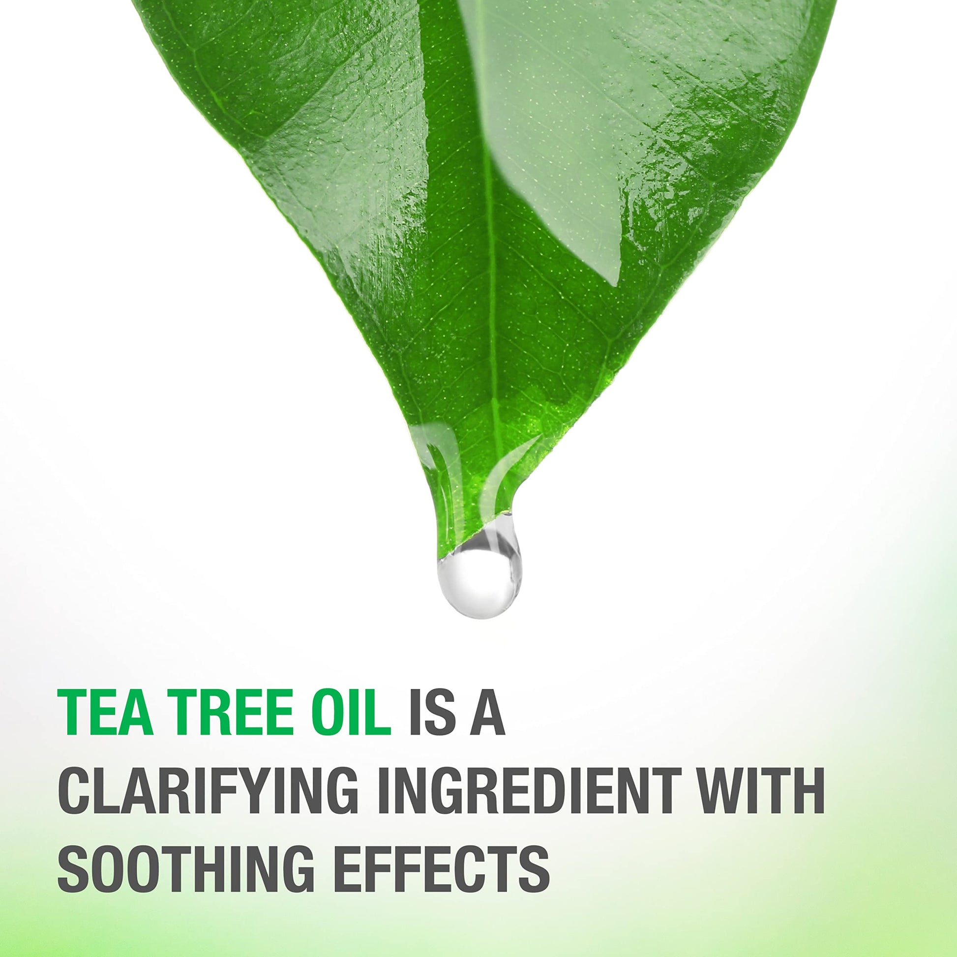 Buy now Neutrogena Soothing & Calming Healthy Scalp Shampoo to Moisturize Dry Scalp & Hair, with Tea Tree Oil, pH-Balanced, Paraben-Free & Phthalate-Free, Safe for Color-Treated Hair, 12 fl oz at indiglob india