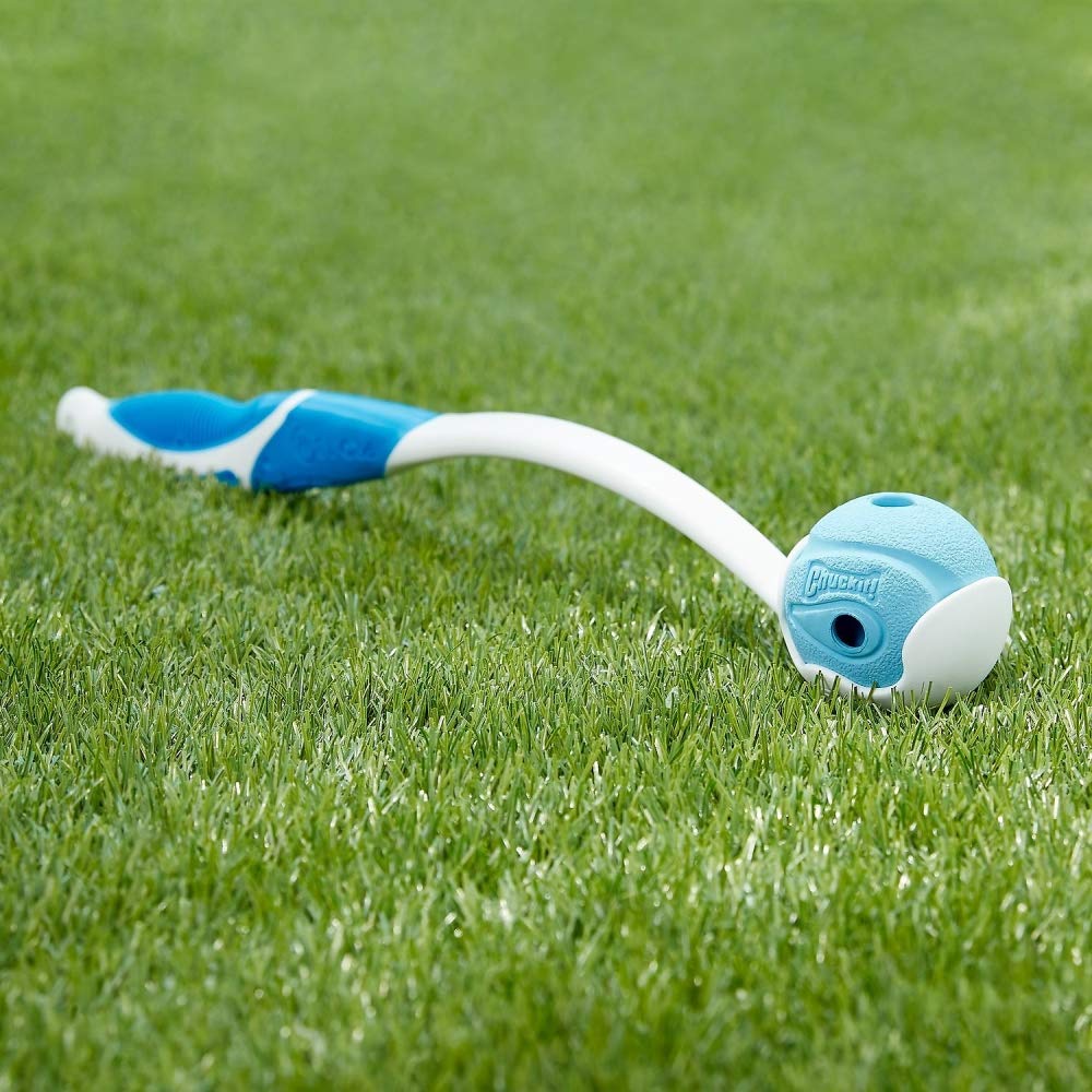 Buy now Chuckit! The Whistler Ball Dog Toy, Small (2 Inch Diameter) for Dogs 0-20 lbs, Pack of 2 at indiglob india