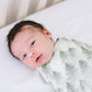 Buy now Copper Pearl Large Premium Knit Baby Swaddle Receiving Blanket Evergreen at indiglob india