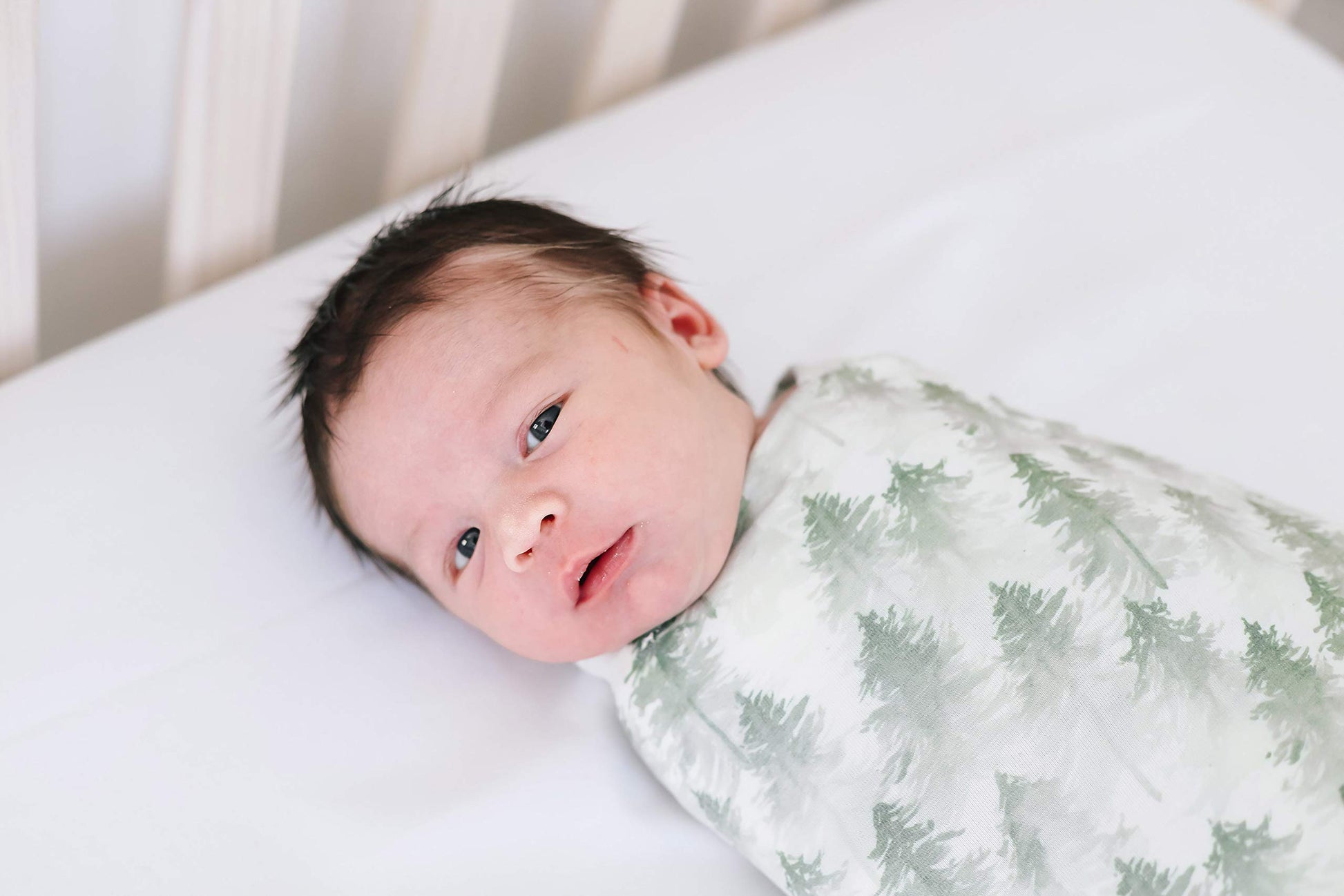 Buy now Copper Pearl Large Premium Knit Baby Swaddle Receiving Blanket Evergreen at indiglob india