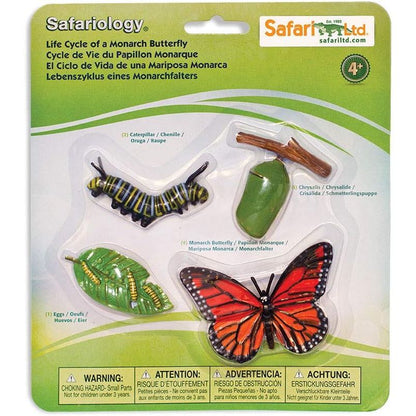 Safari Ltd. Life Cycle of a Honey Bee - Educational Toy Figurines - Miniature Bee Lifecycle Collection for Boys, Girls & Kids Age 4+