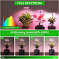 Grow Lights for Indoor Plants, ROMSTO LED Full Spectrum Plant Light for Indoor Plants, Height Adjustable Grow Light with 10 Dimmable Brightness, 8/12/16H On/Off Timer, Ideal for Small Plants,1 Pack