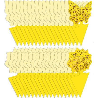 36 Pack Fruit Fly Traps for Indoors, Gnat Traps for House Indoor, Sticky Traps Fungus Gnats Killer for Mosquito and Flying Insects, Bug Pest Insect Catcher Killer for Houseplant