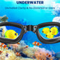 Buy now Aegend Swim Goggles, 2 Pack Swimming Goggles No Leaking Adult Men Women Youth at indiglob india
