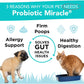 NUSENTIA Probiotics for Dogs -(360 Scoops)-Probiotic Miracle -Advanced, Species Specific Probiotics and Prebiotics to Stop Diarrhea, Loose Stool, and Yeast-Plus Immune Support
