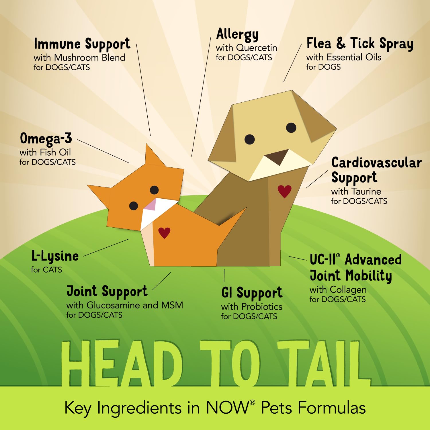 Buy now Now Pets, UC-II?? Advanced Joint Mobility for Dogs and Cats, Veterinarian formulated, Help Maintain Cartilage and Connective Tissue*, 60 Chewable Tablets (60 Grams) at indiglob india