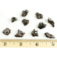 DANCING BEAR Meteorite from Space, 5 pcs Campo del Cielo from Argentina/Educational Card & Magnifying Box