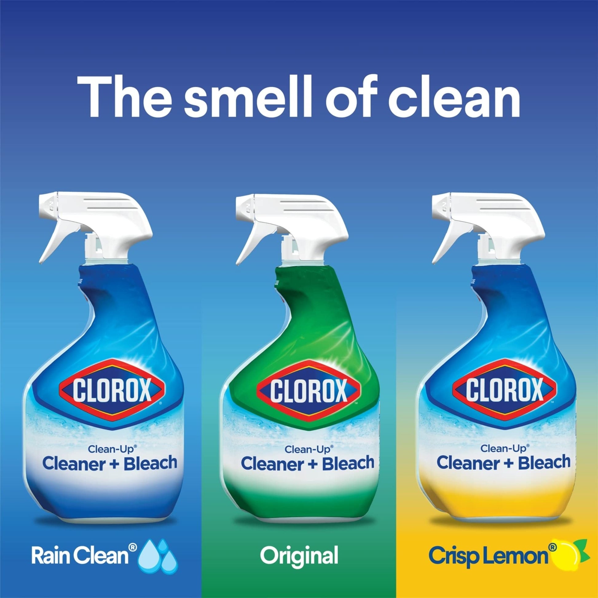 Buy now Clorox® Clean-Up® All Purpose Cleaner with Bleach, Spray Bottle, Rain Clean, 32 Fluid Ounces at indiglob india