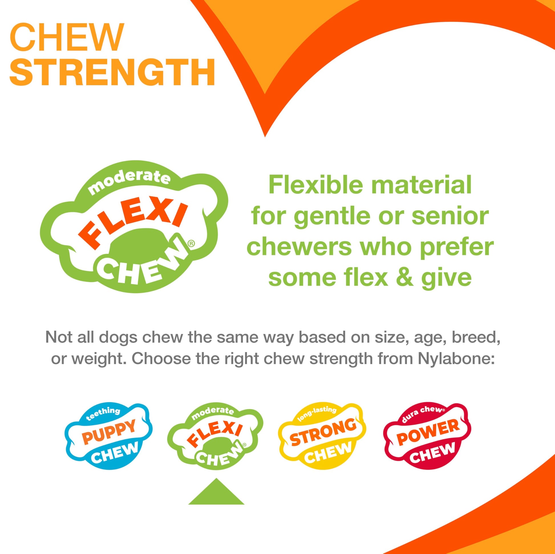 Buy now Nylabone Original Bone Flexi Chew Toy for Dogs, Flexible Dog Toys for Moderate Chewers, Chicken Flavor, Large/Giant, 1 Count at indiglob india