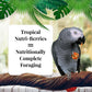 Buy now LAFEBER'S Tropical Fruit Nutri-Berries Pet Bird Food, Made with Non-GMO and Human-Grade Ingredients, for Parrots, 3 lb at indiglob india