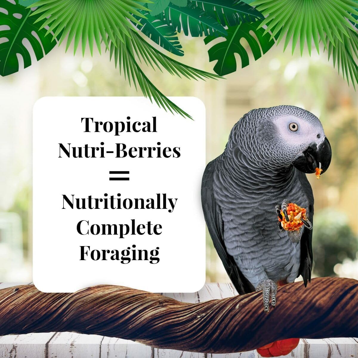 Buy now LAFEBER'S Tropical Fruit Nutri-Berries Pet Bird Food, Made with Non-GMO and Human-Grade Ingredients, for Parrots, 3 lb at indiglob india