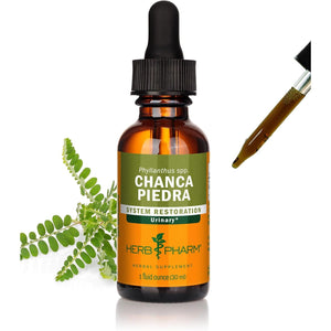 Herb Pharm Chanca Piedra Liquid Extract for Urinary System Support, 1 Fl Oz
