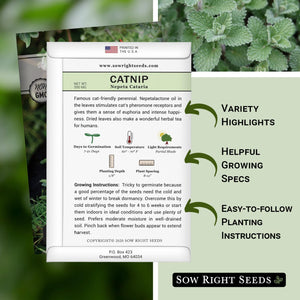 Sow Right Seeds - Catnip Seed for Planting - Popular Herb for Happy Cats - Non-GMO Heirloom Packet with Instructions to Plant and Grow - A Gift for The Cat Lover - Perennial Herb Indoors (1)