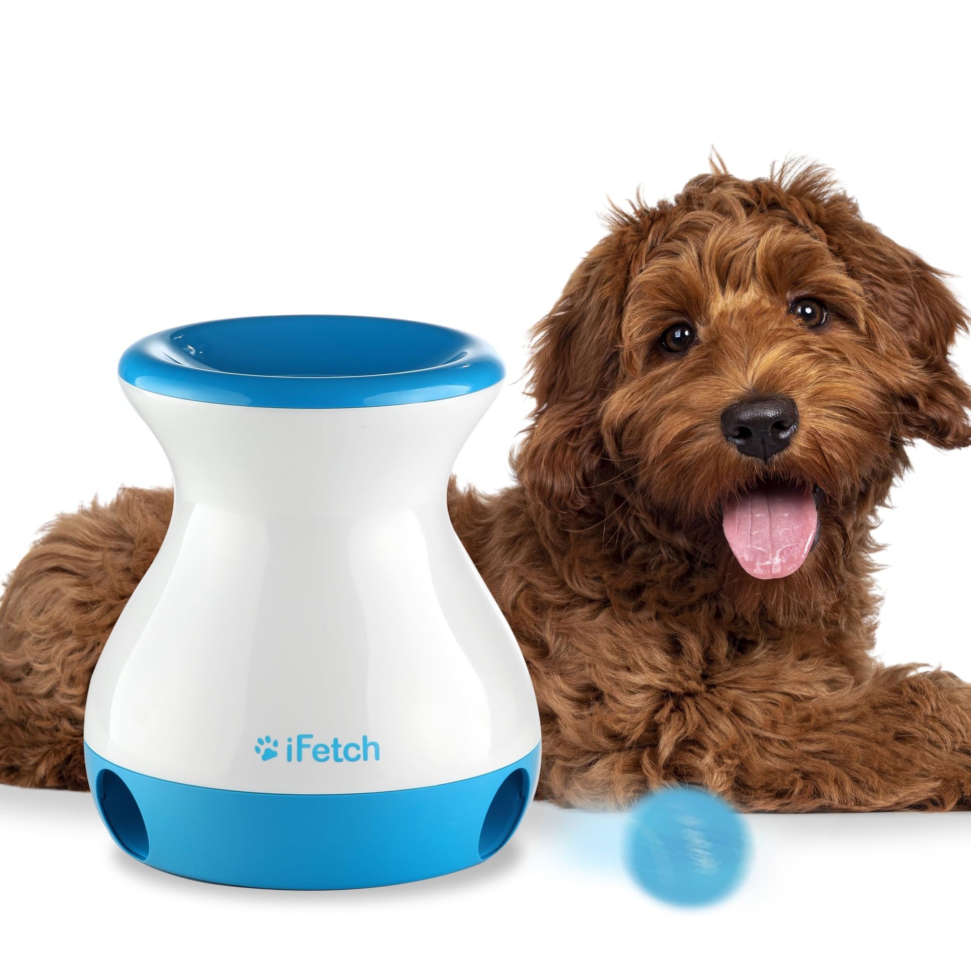Buy now iFetch Frenzy Interactive Dog Toy, Self Fetch Mini Tennis Ball Machine for Small and Medium Dogs, Includes 3 Tennis Balls, Mental Stimulation Brain Game at indiglob india