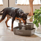 Buy now PetSafe Drinkwell Multi-Tier Pet Fountain - Encourages Hydration for Cats & Dogs - Large-Capacity Waterer - Double Tier - Filtered Fountain with Carbon Filter - 100 oz Water Capacity at indiglob india