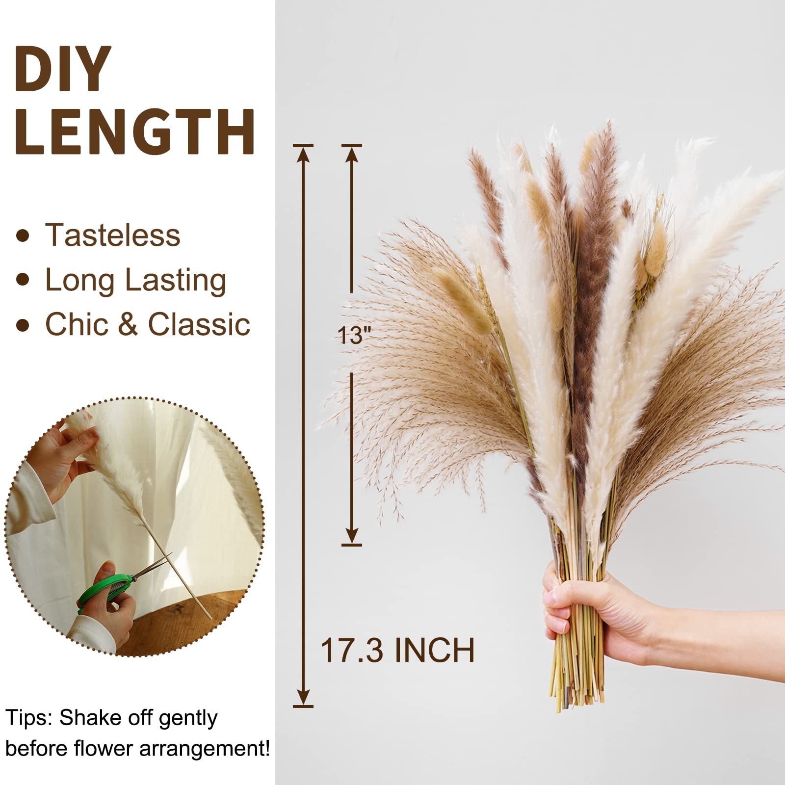 Buy now Seniny Pampas Grass, 80 Pcs Dried Pampas Grass Decor Tall 17", Natural Brown & White Pompous Grass | Bunny Tails Dried Flowers | Wheat Stalks | Reed for Boho Home Wedding Decor, Flower Arrangement at indiglob india