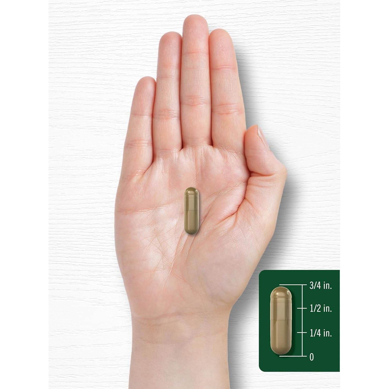 Carlyle Ginkgo Biloba Pills | 6000mg | 200 Capsules | with Bacoba Extract | Extra Strength, Non-GMO and Gluten Free Herbal Supplement - My Store