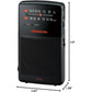 Sangean SR-35 AM/FM Analog Pocket Radio with Built-in Speaker, Black