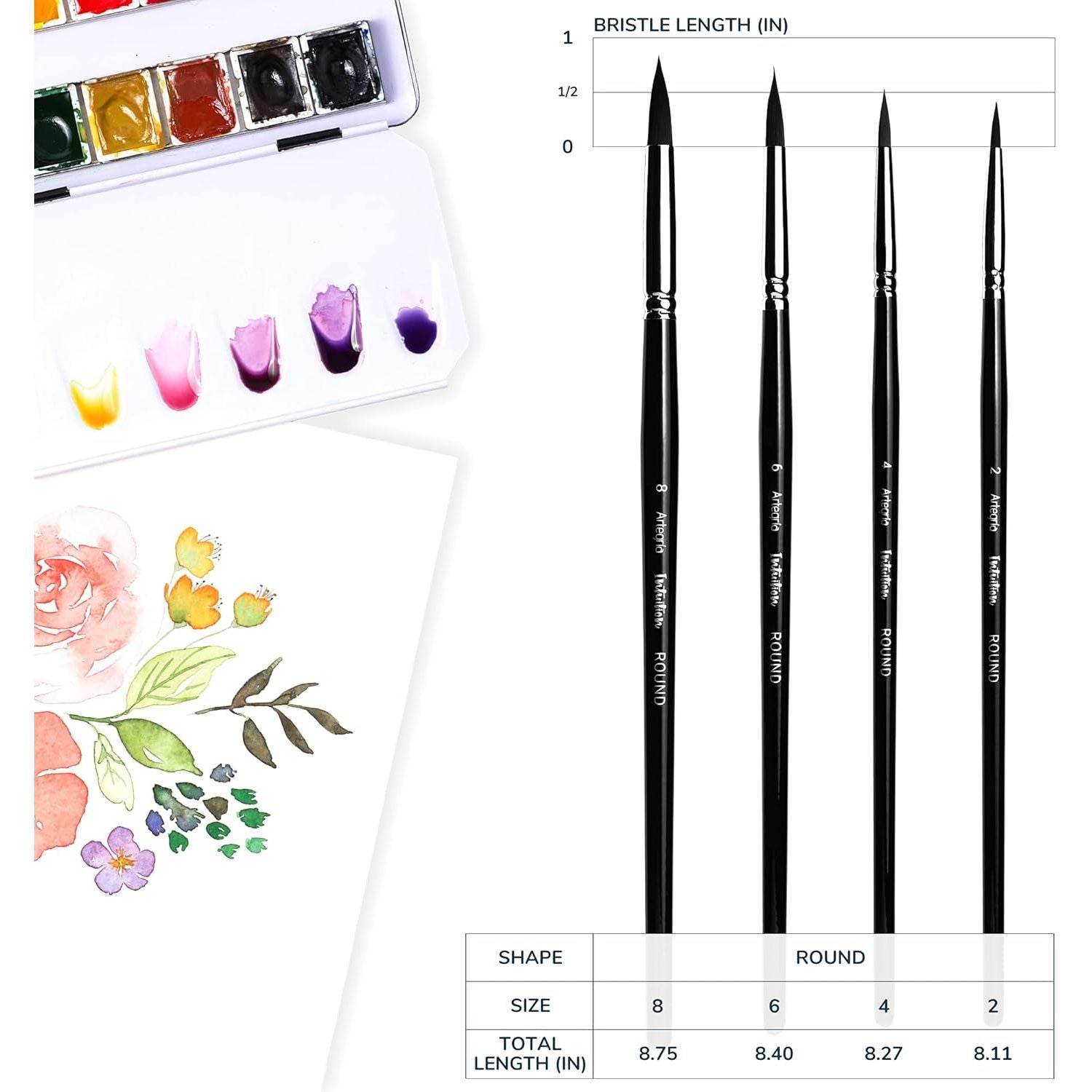 ARTEGRIA Watercolor Brush Set, 4 Professional Pointed Round Soft Synthetic Squirrel Paint Brushes, Sizes # 2, 4, 6, 8 - My Store