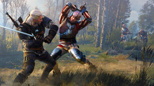 Buy now Witcher 3: Wild Hunt Complete Edition - Nintendo Switch at indiglob india