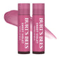 Burt's Bees Lip Tint Balm Stocking Stuffers Gifts, Long Lasting 2 in 1 Duo Tinted Balm Formula, Color Infused with Hydrating Shea Butter for a Natural Looking Buildable Finish, Petal Rose (2-Pack)