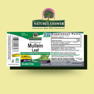 Nature's Answer Mullein Herb - Mullein Leaf Extract for Lungs - Alcohol Free, Non GMO, Made in USA - Supports Respiratory Function & Promotes Healthy Lungs - Mullein Leaf 1 Ounce Extract