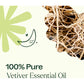 Plant Therapy Vetiver Essential Oil 100% Pure, Undiluted, Natural Aromatherapy, Therapeutic Grade 10 mL (1/3 oz)