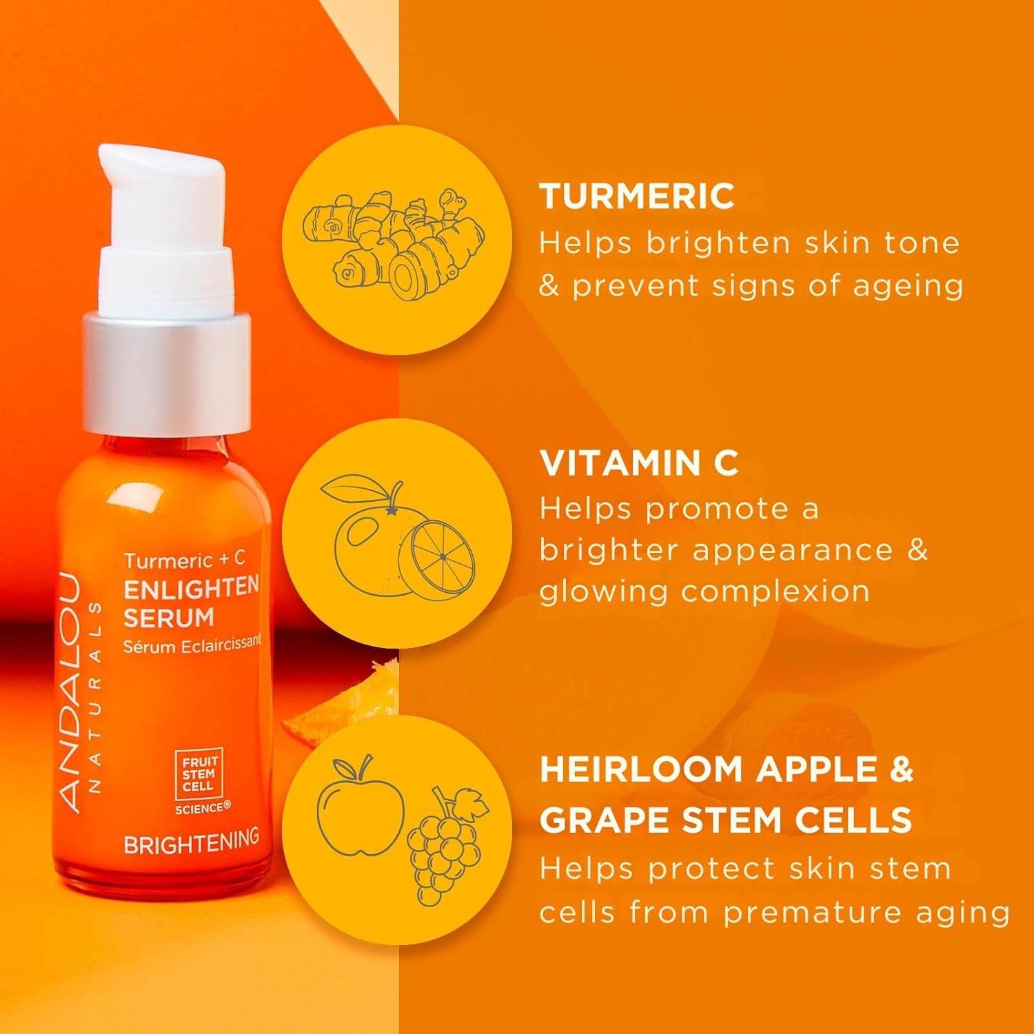 Andalou Naturals Turmeric + Vitamin C Enlighten Serum | Illuminating Face Treatment for Uneven Tone & Sun Damage | With Turmeric and Fruit Stem Cells | 1.1 fl oz - My Store