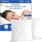 Four Seasons Essentials Waterproof King Pillow Protectors (Set of 2) – Zippered Pillow Cover Hypoallergenic Dust Allergy Proof Encasement