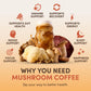 Buy now RYZE SUPERFOODS Mushroom Coffee, 30 servings at indiglob india