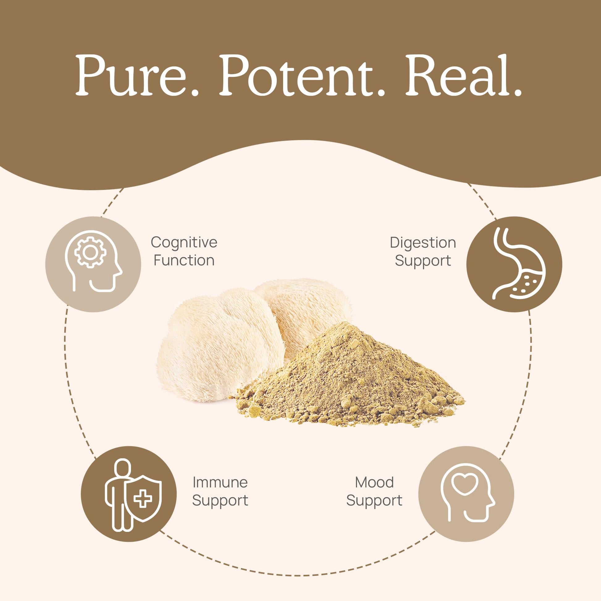 Buy now Real Mushrooms Lions Mane Mushroom Supplement - Organic Lions Mane Extract Powder for Overall Wellness with Adaptogens – Functional Vegan, Non-GMO Blend with 60 Servings at indiglob india