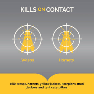 Hot Shot Wasp & Hornet Killer Spray, For Insects Eliminates the Nest, Sprays Up To 27 Feet, 14 fl Ounce, 2 Pack