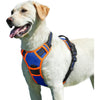 Eagloo Dog Harness for Large Dogs, No Pull Service Vest with Reflective Strips and Control Handle, Adjustable and Comfortable for Walking, No Choke Pet Harness with 2 Metal Rings, Orange, L - Blue & Orange