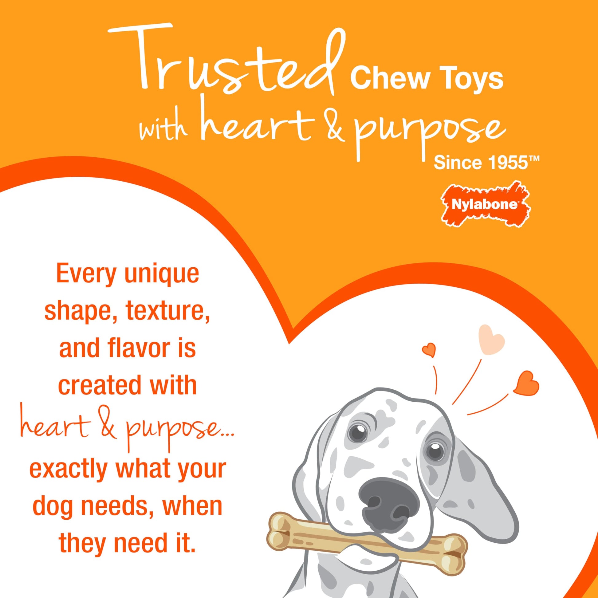 Buy now Nylabone Wishbone Puppy Chew Toy, Toys for Teething Puppies, Pink, Chicken Flavor, X-Small - Up to 15 lbs, 1 Count at indiglob india