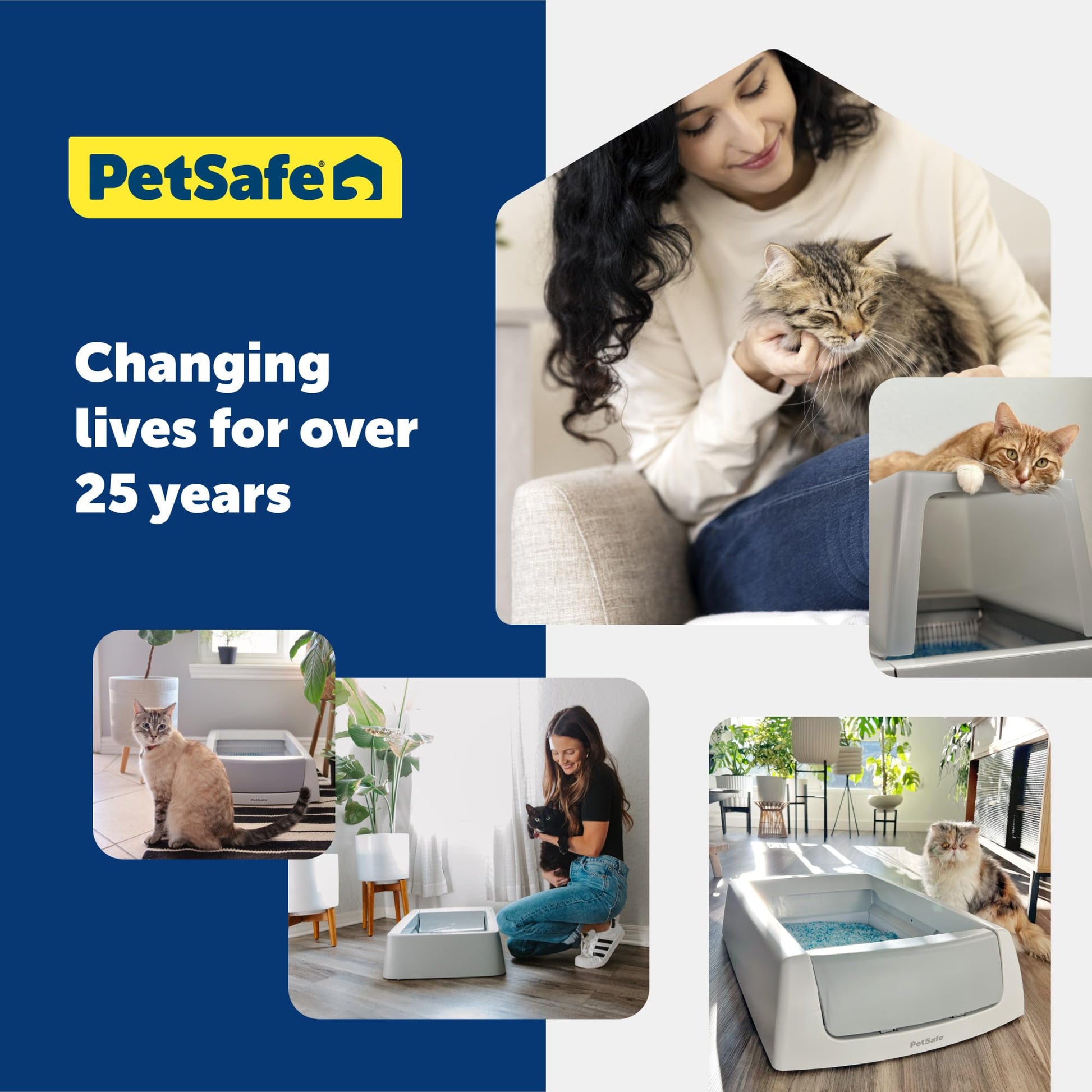 Buy now PetSafe ScoopFree Premium Natural Cat Litter - Eco-Friendly Long-Lasting Litter - High Absorbency & Low-Tracking Design - Non-Clumping Pebbles - 4.2 lb Bag - 2 Pack at indiglob india