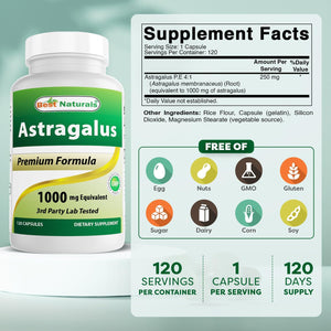 Best Naturals Astragalus Capsule, 1000 mg, 120 Count